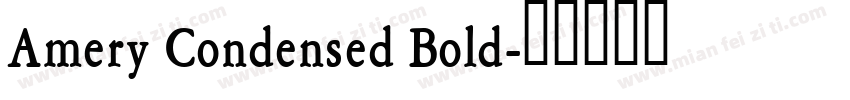 Amery Condensed Bold字体转换